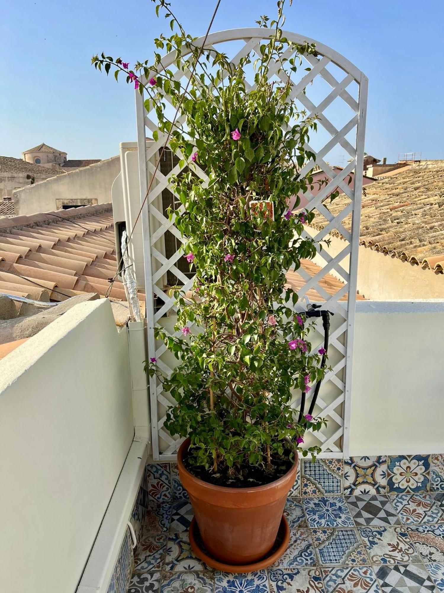 Incantevole Appartamento In Palazzo Storico Ortigia Syrakus Exterior foto